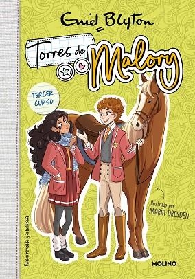 TERCER CURSO (NUEVA EDICIÓN CON CONTENIDO INÉDITO) (TORRES DE MALORY 3) | 9788427234239 | BLYTON, ENID | Llibreria Drac - Llibreria d'Olot | Comprar llibres en català i castellà online