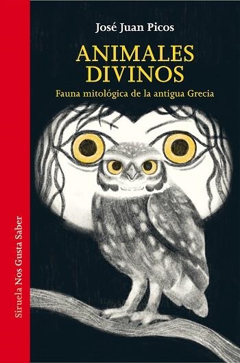 ANIMALES DIVINOS | 9788419553133 | PICOS, JOSÉ JUAN | Llibreria Drac - Llibreria d'Olot | Comprar llibres en català i castellà online