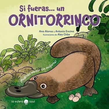 SI FUERAS UN ORNITORRINCO | 9788419472427 | ALONSO, ANA; ENCINA, ANTONIO; ORBE, ALEX | Llibreria Drac - Llibreria d'Olot | Comprar llibres en català i castellà online