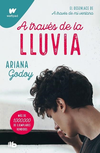 A TRAVÉS DE LA LLUVIA (EDICIÓN REVISADA POR LA AUTORA) (TRILOGÍA HERMANOS HIDALGO 3) | 9788413147994 | GODOY, ARIANA | Llibreria Drac - Llibreria d'Olot | Comprar llibres en català i castellà online