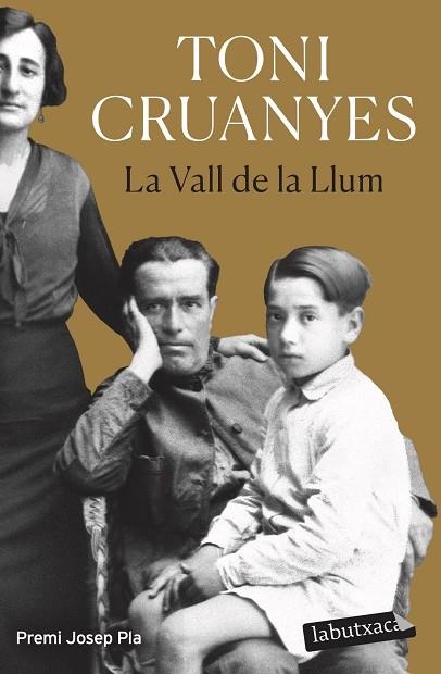 VALL DE LA LLUM, LA | 9788419107701 | CRUANYES, TONI | Llibreria Drac - Llibreria d'Olot | Comprar llibres en català i castellà online