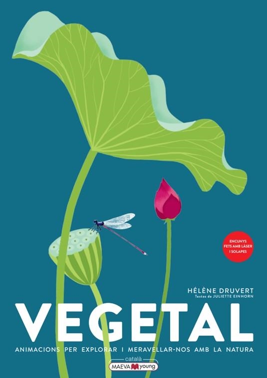 VEGETAL: ANIMACIONS PER EXPLORAR I MERAVELLAR-NOS AMB LA NATURA | 9788419110886 | DRUVERT, HÉLÈNE | Llibreria Drac - Llibreria d'Olot | Comprar llibres en català i castellà online