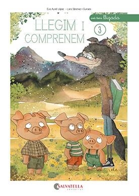 LLEGIM I COMPRENEM 3 | 9788419565433 | AYNÉ, EVA | Llibreria Drac - Llibreria d'Olot | Comprar llibres en català i castellà online