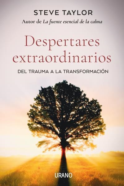 DESPERTARES EXTRAORDINARIOS | 9788418714061 | TAYLOR, STEVE | Llibreria Drac - Librería de Olot | Comprar libros en catalán y castellano online