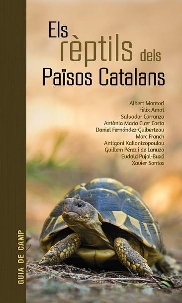 RÈPTILS DELS PAÏSOS CATALANS, ELS | 9788418096570 | AA.DD. | Llibreria Drac - Llibreria d'Olot | Comprar llibres en català i castellà online