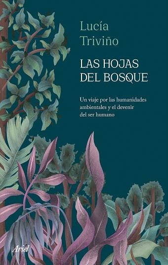 HOJAS DEL BOSQUE, LAS | 9788434436718 | TRIVIÑO, LUCÍA | Llibreria Drac - Llibreria d'Olot | Comprar llibres en català i castellà online