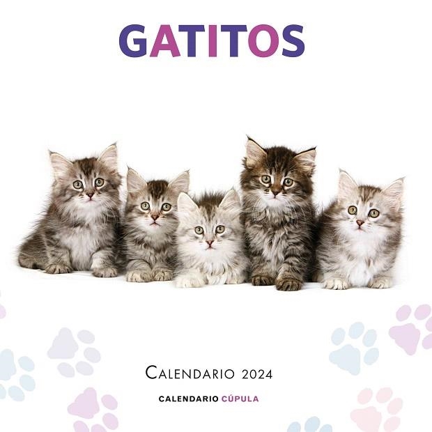 CALENDARIO GATITOS 2024 | 9788448038076 | AA.DD. | Llibreria Drac - Llibreria d'Olot | Comprar llibres en català i castellà online