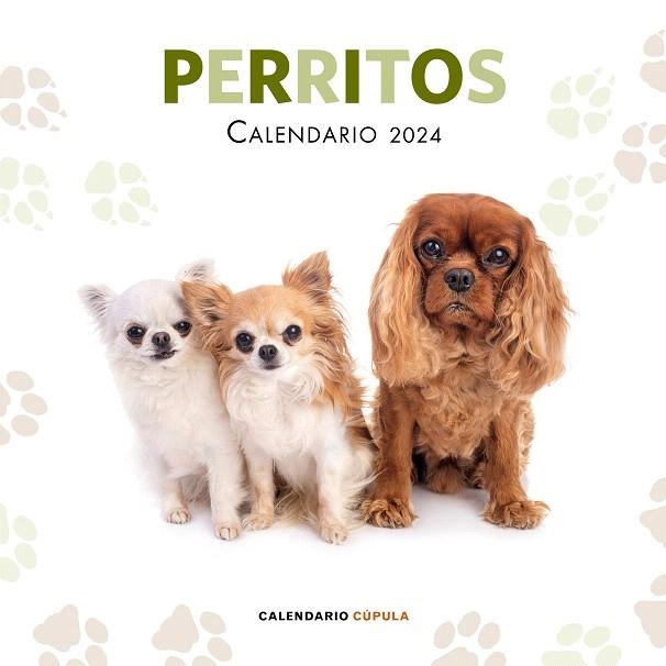 CALENDARIO PERRITOS 2024 | 9788448038069 | AA.DD. | Llibreria Drac - Llibreria d'Olot | Comprar llibres en català i castellà online