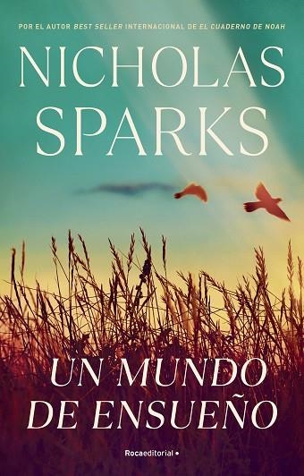 MUNDO DE ENSUEÑO, UN | 9788419283955 | SPARKS, NICHOLAS | Llibreria Drac - Llibreria d'Olot | Comprar llibres en català i castellà online