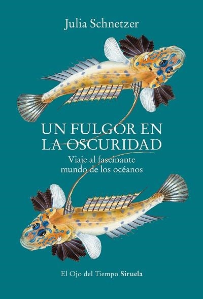 FULGOR EN LA OSCURIDAD, UN | 9788419553119 | SCHNETZER, JULIA | Llibreria Drac - Llibreria d'Olot | Comprar llibres en català i castellà online