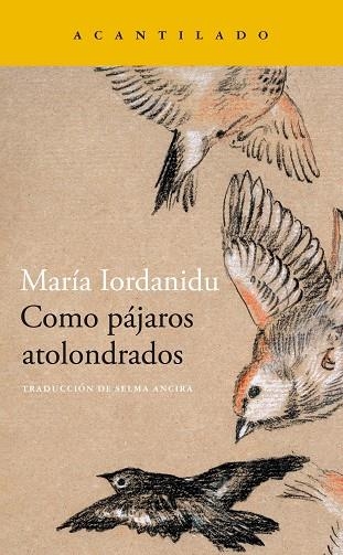 COMO PÁJAROS ATOLONDRADOS | 9788419036704 | IORDANIDU, MARÍA | Llibreria Drac - Llibreria d'Olot | Comprar llibres en català i castellà online