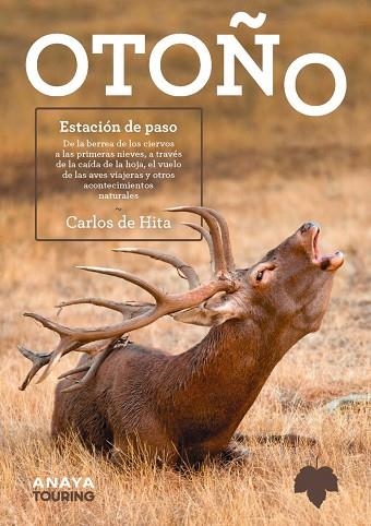 OTOÑO. ESTACIÓN DE PASO | 9788491586685 | HITA, CARLOS DE | Llibreria Drac - Llibreria d'Olot | Comprar llibres en català i castellà online