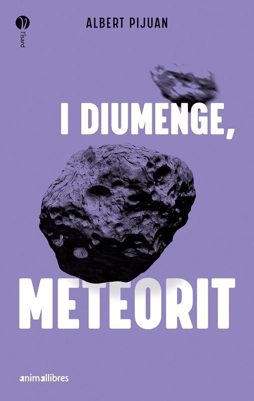 I DIUMENGE, METEORIT | 9788419659415 | PUJUAN, ALBERT | Llibreria Drac - Llibreria d'Olot | Comprar llibres en català i castellà online