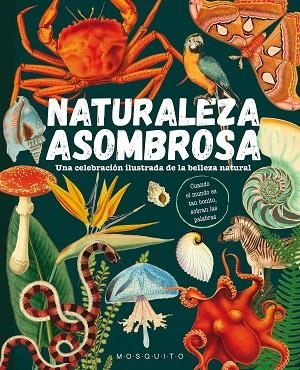 NATURALEZA ASOMBROSA | 9788419095589 | AA.DD. | Llibreria Drac - Llibreria d'Olot | Comprar llibres en català i castellà online