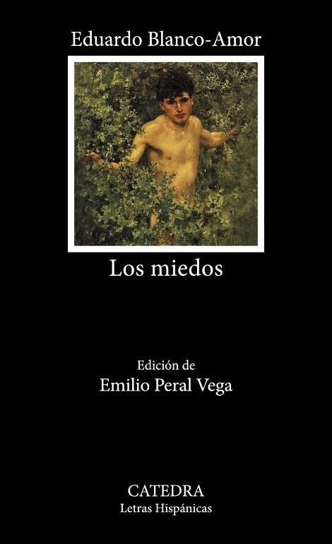 MIEDOS, LOS | 9788437646459 | BLANCO-AMOR, EDUARDO | Llibreria Drac - Llibreria d'Olot | Comprar llibres en català i castellà online