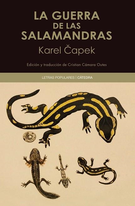 GUERRA DE LAS SALAMANDRAS, LA | 9788437646466 | CAPEK, KAREL | Llibreria Drac - Llibreria d'Olot | Comprar llibres en català i castellà online