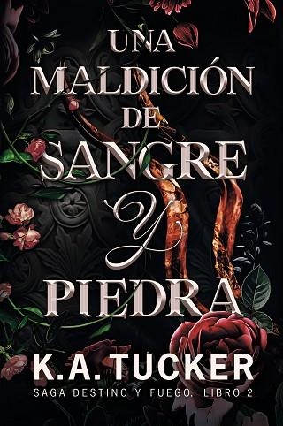 UNA MALDICION DE SANGRE Y PIEDRA | 9788419621092 | TUCKER, K.A. | Llibreria Drac - Llibreria d'Olot | Comprar llibres en català i castellà online