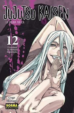 JUJUTSU KAISEN 12 CATALA | 9788467957662 | AKUTAMI, GEGE | Llibreria Drac - Llibreria d'Olot | Comprar llibres en català i castellà online