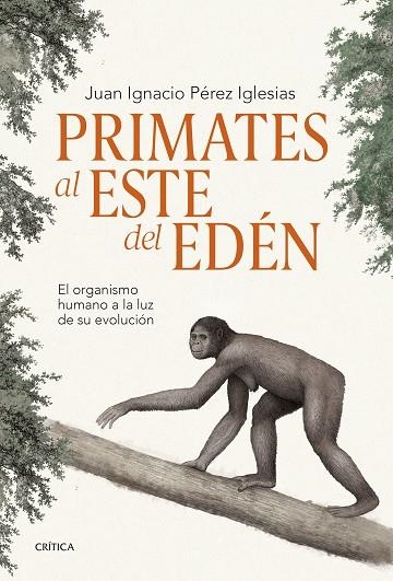 PRIMATES AL ESTE DEL EDÉN | 9788491995869 | PÉREZ IGLESIAS, JUAN IGNACIO | Llibreria Drac - Llibreria d'Olot | Comprar llibres en català i castellà online