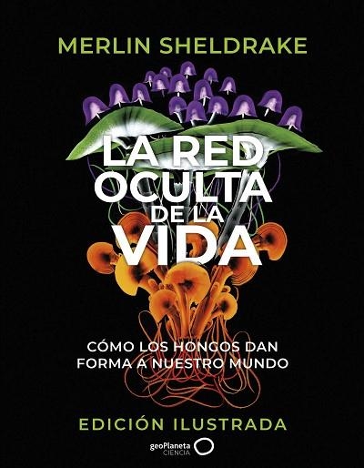 RED OCULTA DE LA VIDA, LA (EDICIÓN ILUSTRADA) | 9788408276692 | SHELDRAKE, MERLIN | Llibreria Drac - Llibreria d'Olot | Comprar llibres en català i castellà online