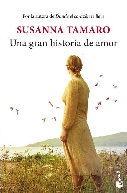 GRAN HISTORIA DE AMOR, UNA | 9788432242618 | TAMARO, SUSANNA | Llibreria Drac - Llibreria d'Olot | Comprar llibres en català i castellà online