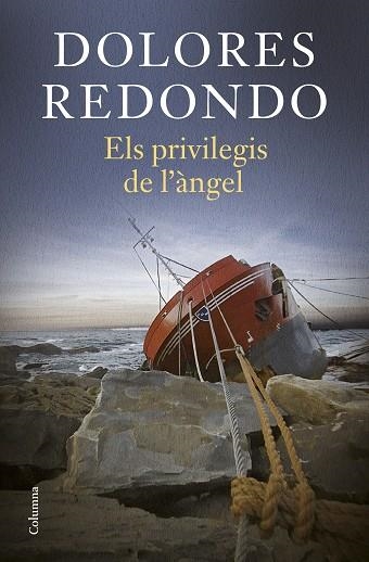 PRIVILEGIS DE L'ÀNGEL, ELS | 9788466431224 | REDONDO, DOLORES | Llibreria Drac - Llibreria d'Olot | Comprar llibres en català i castellà online