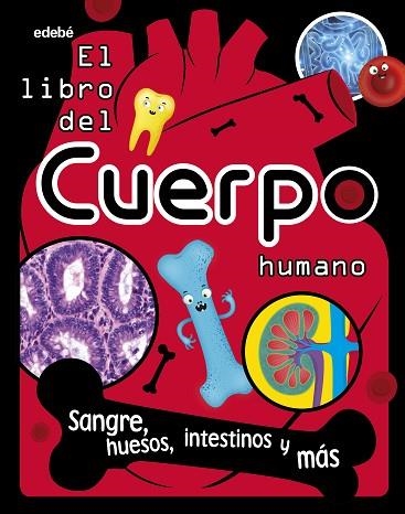 LIBRO DEL CUERPO HUMANO, EL | 9788468362748 | AA.DD. | Llibreria Drac - Llibreria d'Olot | Comprar llibres en català i castellà online