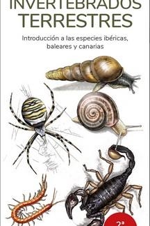 INVERTEBRADOS TERRESTRES  (GUIAS DESPLEGABLES TUNDRA) | 9788418458804 | HERNANDEZ, VICTOR J. | Llibreria Drac - Llibreria d'Olot | Comprar llibres en català i castellà online