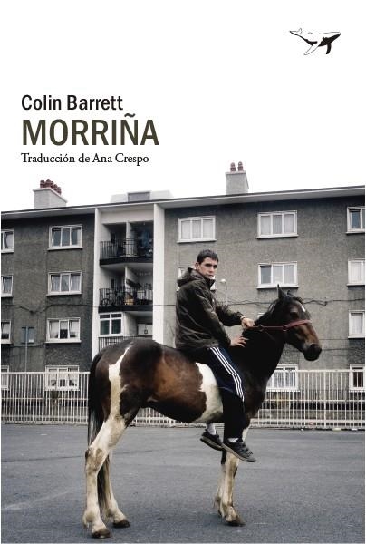 MORRIÑA | 9788412619423 | BARRETT, COLIN | Llibreria Drac - Llibreria d'Olot | Comprar llibres en català i castellà online