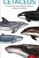 CETACEOS (GUIAS DESPLEGABLES TUNDRA) | 9788418458095 | HERNANDEZ, VICTOR J. | Llibreria Drac - Llibreria d'Olot | Comprar llibres en català i castellà online