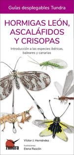 HORMIGAS LEON, ASCALAFIDOS Y CRISOPAS (GUIAS DESPLEGABLES TUNDRA) | 9788418458507 | HERNANDEZ, VICTOR J. | Llibreria Drac - Llibreria d'Olot | Comprar llibres en català i castellà online