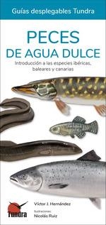 AVES DE LA COMUNIDAD DE MADRID   (GUIAS  DESPLEGABLES TUNDRA) | 9788418458910 | HERNANDEZ, VICTOR J. | Llibreria Drac - Librería de Olot | Comprar libros en catalán y castellano online