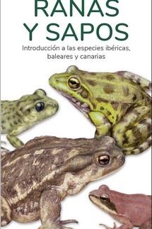 RANAS Y SAPOS  (GUIAS DESPLEGABLES TUNDRA) | 9788419624109 | HERNANDEZ, VICTOR J. | Llibreria Drac - Librería de Olot | Comprar libros en catalán y castellano online