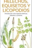 HELECHOS, EQUISETOS Y LICOPODIOS  (GUIAS DESPLEGABLES TUNDRA) | 9788418458552 | HERNANDEZ, VICTOR J. | Llibreria Drac - Llibreria d'Olot | Comprar llibres en català i castellà online