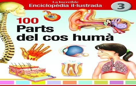 100 PARTS DEL COS HUMÀ | 9788412636291 | AA.DD. | Llibreria Drac - Llibreria d'Olot | Comprar llibres en català i castellà online