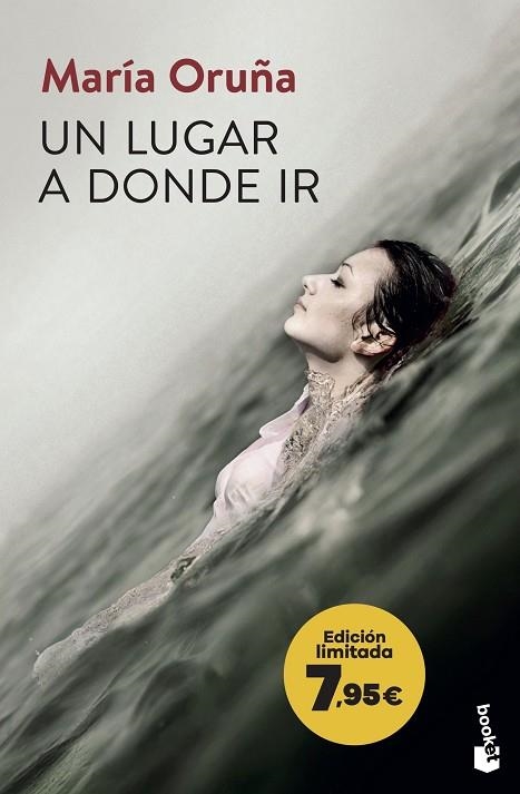 LUGAR A DONDE IR, UN (LOS LIBROS DEL PUERTO ESCONDIDO 2) | 9788423364541 | ORUÑA, MARÍA | Llibreria Drac - Librería de Olot | Comprar libros en catalán y castellano online