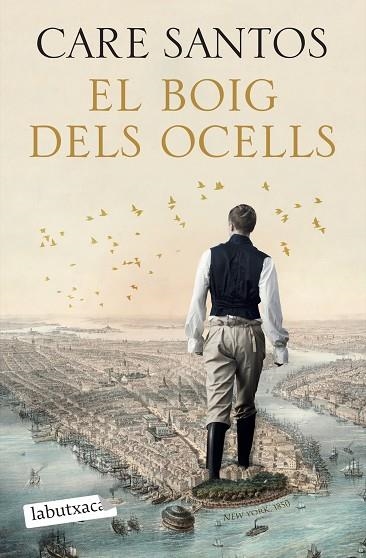 BOIG DELS OCELLS, EL | 9788419971012 | SANTOS, CARE | Llibreria Drac - Librería de Olot | Comprar libros en catalán y castellano online