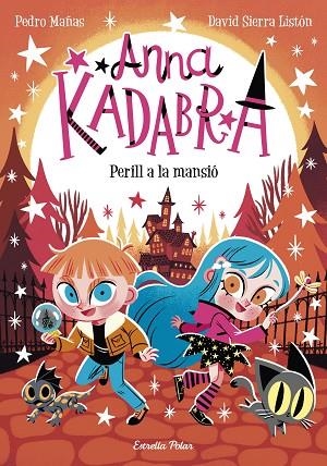 PERILL A LA MANSIÓ (ANNA KADABRA 13) | 9788413897400 | MAÑAS, PEDRO; SIERRA, DAVID | Llibreria Drac - Llibreria d'Olot | Comprar llibres en català i castellà online