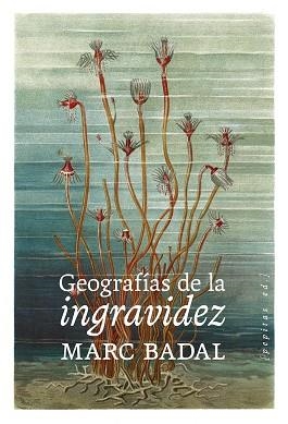 GEOGRAFÍAS DE LA INGRAVIDEZ | 9788418998669 | BADAL PIJOAN, MARC | Llibreria Drac - Librería de Olot | Comprar libros en catalán y castellano online