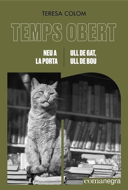 NEU A LA PORTA | ULL DE GAT, ULL DE BOU (TEMPS OBERT XVIII-XIX) | 9788419590855 | COLOM, TERESA | Llibreria Drac - Llibreria d'Olot | Comprar llibres en català i castellà online