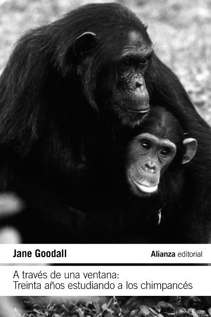 A TRAVÉS DE UNA VENTANA. TREINTA AÑOS ESTUDIANDO A LOS CHIMPANCÉS | 9788411485609 | GOODALL, JANE | Llibreria Drac - Llibreria d'Olot | Comprar llibres en català i castellà online