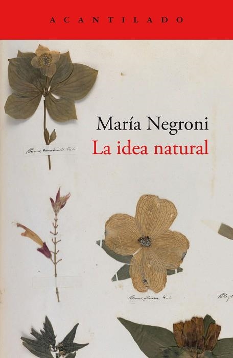 IDEA NATURAL, LA | 9788419036872 | NEGRONI, MARÍA | Llibreria Drac - Llibreria d'Olot | Comprar llibres en català i castellà online