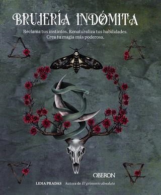 BRUJERÍA INDÓMITA | 9788441549197 | PRADAS, LIDIA | Llibreria Drac - Librería de Olot | Comprar libros en catalán y castellano online