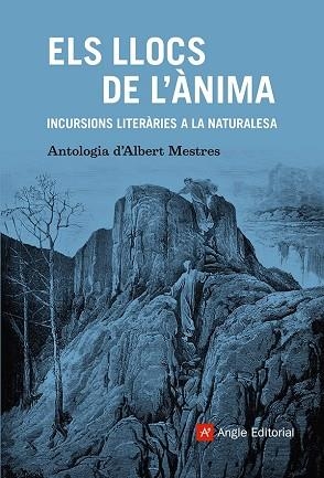 LLOCS DE L'ÀNIMA, ELS | 9788410112179 | MESTRES, ALBERT | Llibreria Drac - Llibreria d'Olot | Comprar llibres en català i castellà online