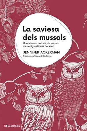 SAVIESA DELS MUSSOLS, LA | 9788413563558 | ACKERMAN, JENNIFER | Llibreria Drac - Llibreria d'Olot | Comprar llibres en català i castellà online