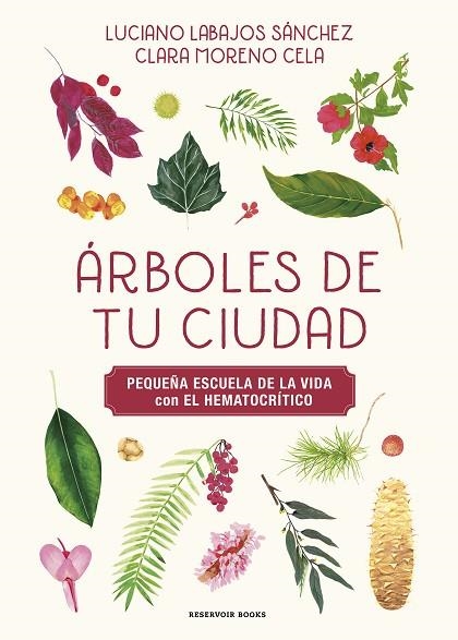 ÁRBOLES DE TU CIUDAD (PEQUEÑA ESCUELA DE LA VIDA CON EL HEMATOCRÍTICO) | 9788419940483 | LABAJOS, LUCIANO; MORENO, KLARI; EL HEMATOCRÍTICO | Llibreria Drac - Librería de Olot | Comprar libros en catalán y castellano online