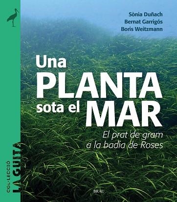 UNA PLANTA SOTA EL MAR | 9788418096747 | DUÑACH, SÒNIA; GARRIGÓS, BERNAT; WEITZMANN, BORIS | Llibreria Drac - Llibreria d'Olot | Comprar llibres en català i castellà online