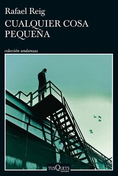 CUALQUIER COSA PEQUEÑA | 9788411074728 | REIG, RAFAEL | Llibreria Drac - Librería de Olot | Comprar libros en catalán y castellano online