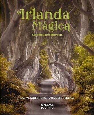 IRLANDA MÁGICA | 9788491587224 | ROCABERTI, DAVID | Llibreria Drac - Llibreria d'Olot | Comprar llibres en català i castellà online