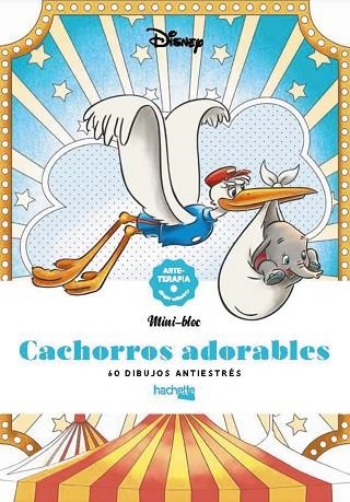 CACHORROS ADORABLES | 9788419804341 | AA.DD. | Llibreria Drac - Librería de Olot | Comprar libros en catalán y castellano online